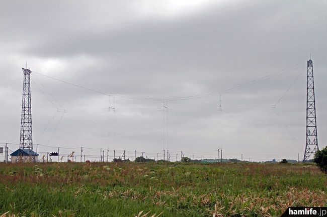 「根室送信所」の遠景。上部と左右が支線、中央が3.925MHzのダイポールアンテナだ